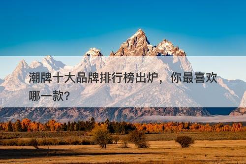 潮牌十大品牌排行榜出炉，你最喜欢哪一款？