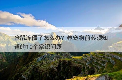 仓鼠冻僵了怎么办？养宠物前必须知道的10个常识问题