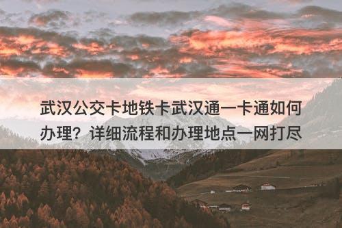 武汉公交卡地铁卡武汉通一卡通如何办理？详细流程和办理地点一网打尽