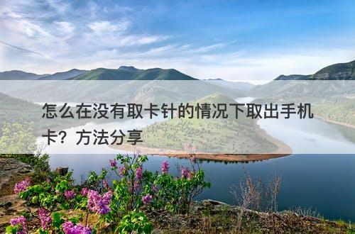 怎么在没有取卡针的情况下取出手机卡？方法分享