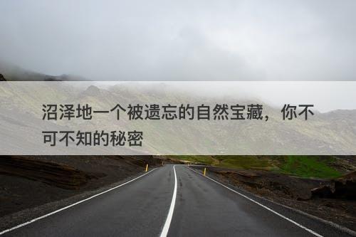 沼泽地一个被遗忘的自然宝藏，你不可不知的秘密