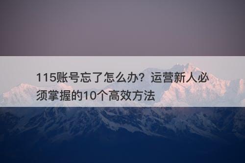 115账号忘了怎么办？运营新人必须掌握的10个高效方法