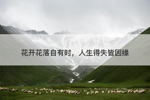 花开花落自有时，人生得失皆因缘