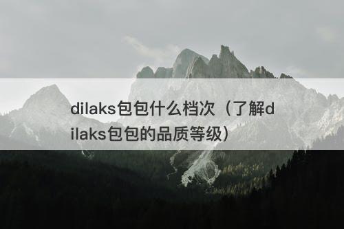 dilaks包包什么档次（了解dilaks包包的品质等级）