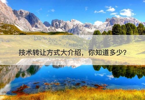 技术转让方式大介绍，你知道多少？