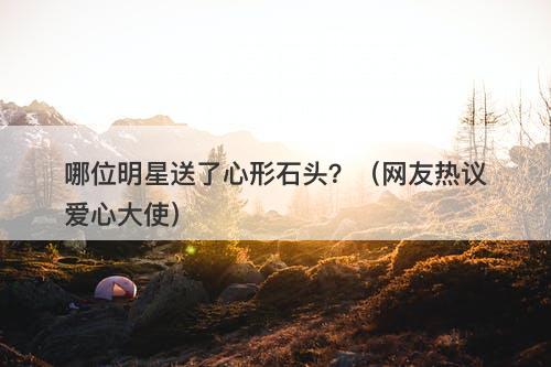哪位明星送了心形石头？（网友热议爱心大使）