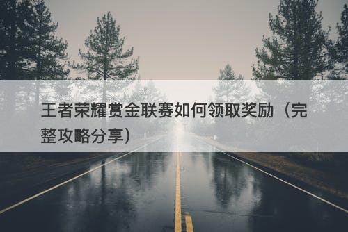 王者荣耀赏金联赛如何领取奖励（完整攻略分享）