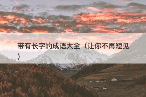 带有长字的成语大全（让你不再短见）