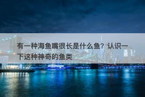 有一种海鱼嘴很长是什么鱼？认识一下这种神奇的鱼类