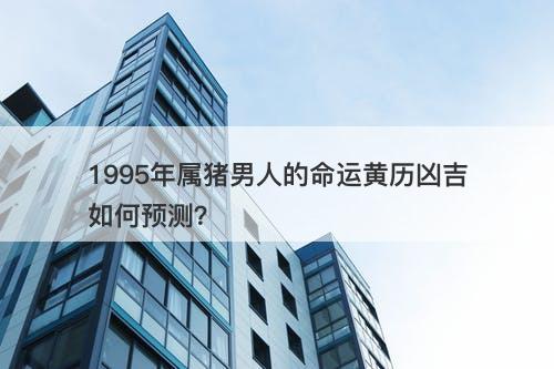 1995年属猪男人的命运黄历凶吉如何预测？