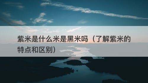 紫米是什么米是黑米吗（了解紫米的特点和区别）