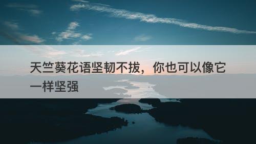 天竺葵花语坚韧不拔，你也可以像它一样坚强