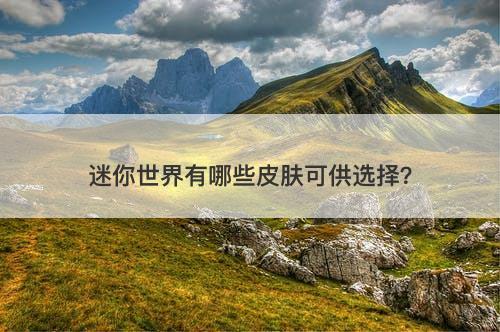 迷你世界有哪些皮肤可供选择？