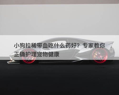 小狗拉稀带血吃什么药好？专家教你正确护理宠物健康