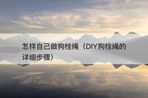 怎样自己做狗栓绳（DIY狗栓绳的详细步骤）