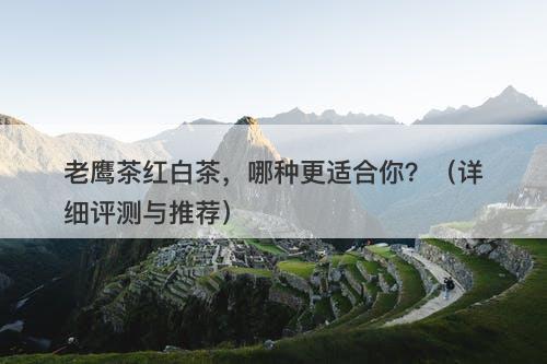 老鹰茶红白茶，哪种更适合你？（详细评测与推荐）
