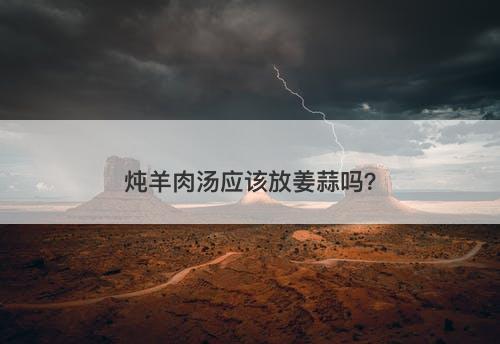 炖羊肉汤应该放姜蒜吗？