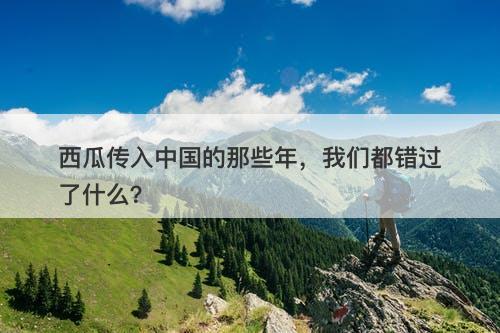 西瓜传入中国的那些年，我们都错过了什么？