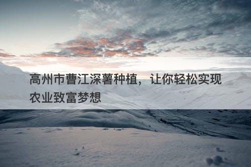 高州市曹江深薯种植，让你轻松实现农业致富梦想