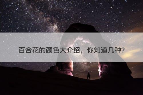 百合花的颜色大介绍，你知道几种？