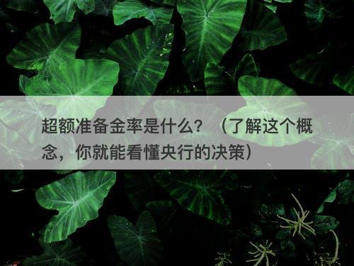 超额准备金率是什么？（了解这个概念，你就能看懂央行的决策）