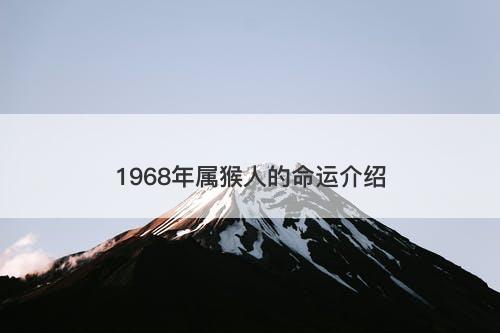 1968年属猴人的命运介绍