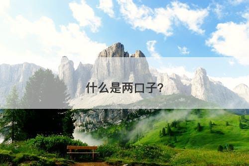 什么是两口子？
