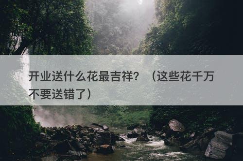 开业送什么花最吉祥？（这些花千万不要送错了）