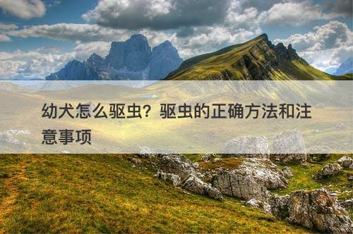 幼犬怎么驱虫？驱虫的正确方法和注意事项