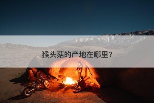 猴头菇的产地在哪里？