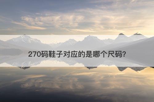 270码鞋子对应的是哪个尺码？