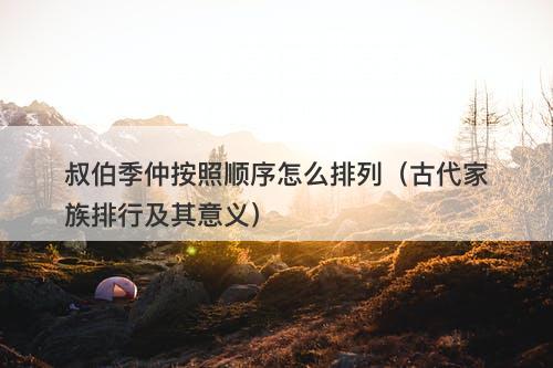 叔伯季仲按照顺序怎么排列（古代家族排行及其意义）
