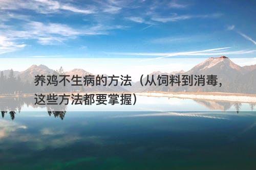 养鸡不生病的方法（从饲料到消毒，这些方法都要掌握）