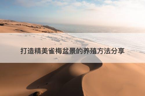打造精美雀梅盆景的养殖方法分享