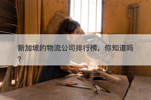 新加坡的物流公司排行榜，你知道吗？