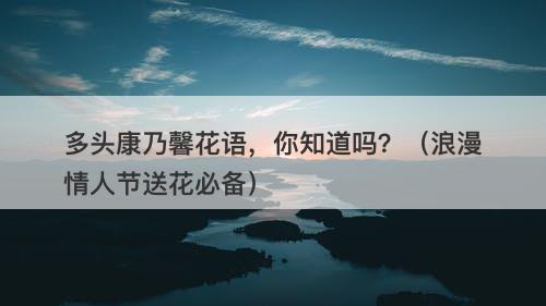 多头康乃馨花语，你知道吗？（浪漫情人节送花必备）