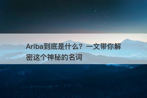 Ariba到底是什么？一文带你解密这个神秘的名词