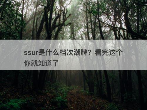 ssur是什么档次潮牌？看完这个你就知道了