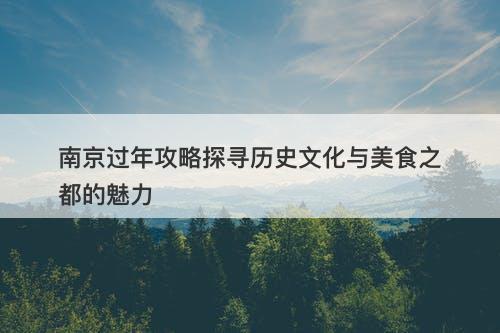 南京过年攻略探寻历史文化与美食之都的魅力