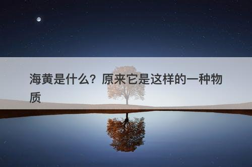 海黄是什么？原来它是这样的一种物质