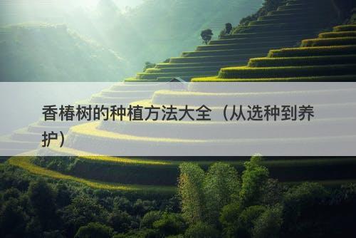 香椿树的种植方法大全（从选种到养护）