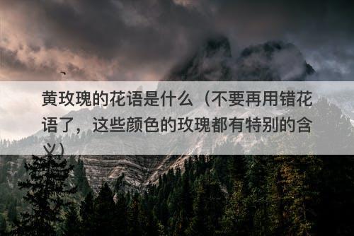 黄玫瑰的花语是什么（不要再用错花语了，这些颜色的玫瑰都有特别的含义）