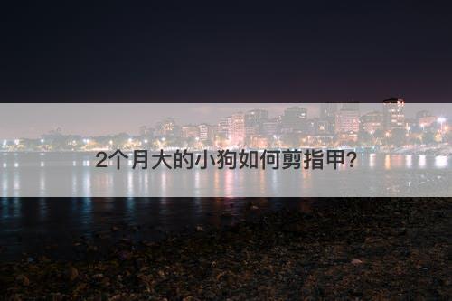 2个月大的小狗如何剪指甲？