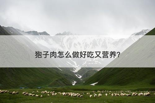 狍子肉怎么做好吃又营养？