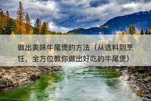 做出美味牛尾煲的方法（从选料到烹饪，全方位教你做出好吃的牛尾煲）