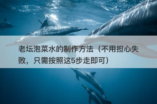 老坛泡菜水的制作方法（不用担心失败，只需按照这5步走即可）
