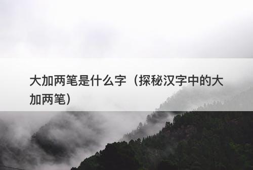 大加两笔是什么字（探秘汉字中的大加两笔）