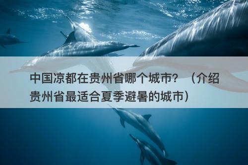 中国凉都在贵州省哪个城市？（介绍贵州省最适合夏季避暑的城市）