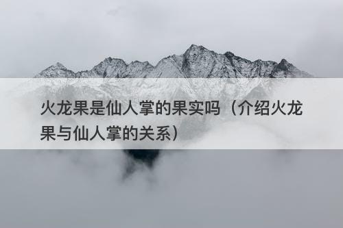 火龙果是仙人掌的果实吗（介绍火龙果与仙人掌的关系）