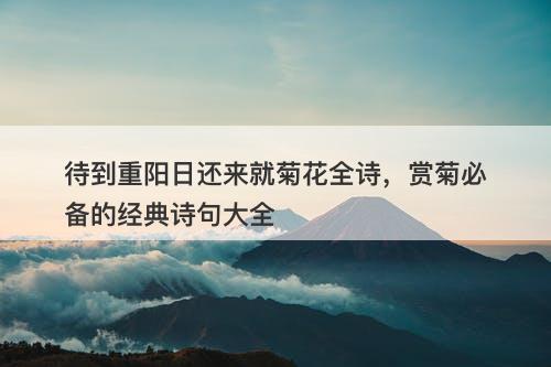 待到重阳日还来就菊花全诗，赏菊必备的经典诗句大全